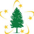 5 Star Trees Ltd. logo with five-pointed stars and tall conifer motif