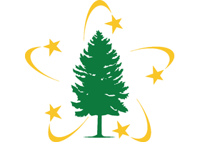 5 Star Trees Ltd. logo with five-pointed stars and tall conifer motif