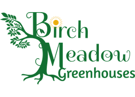 Birch Meadow Greenhouses logo with green birch tree motif and yellow sun