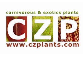 捷克食虫植物 CZPlants 苗圃 logo