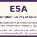 Epiphyllum Society of America Logo - 1940 California 501(c)(3)