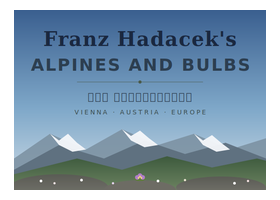 奥地利 Franz Hadacek 高山植物与球根花卉花园 维也纳收藏