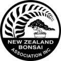New Zealand Bonsai Association NZBA logo - silver fern leaf with bonsai tree