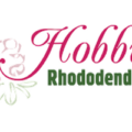 德国 Hobbie 杜鹃公园和苗圃