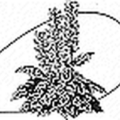 Mediterranean Garden Society terracotta pot plant motif logo
