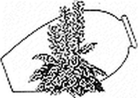 Mediterranean Garden Society terracotta pot plant motif logo