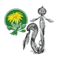 CNPS North Coast Chapter logo