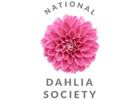 National Dahlia Society UK logo