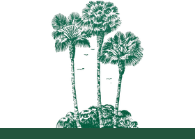 南佛罗里达棕榈协会 South Florida Palm Society 徽章