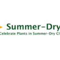Summer-Dry Plants and Gardens