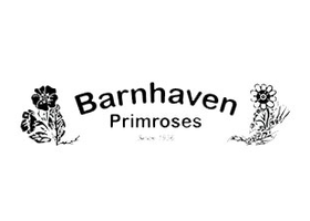 Barnhaven Primroses 法国报春花苗圃品牌标识