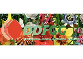 DDFGG 德国大丽花、倒挂金钟、唐菖蒲、木曼陀罗、天竺葵推广协会
