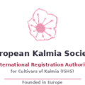 欧洲山月桂协会 European Kalmia Society