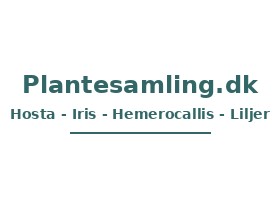 Plantesamling.dk 私人花卉专类园 wordmark