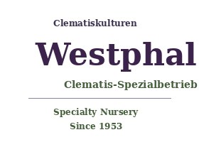 Westphal 铁线莲苗圃
