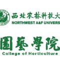 西北农林科技大学园艺学院 NWAFU College of Horticulture 标识