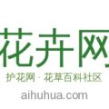 花卉网 logo