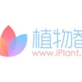 iPlant 植物智 logo - 中国植物物种数据综合门户