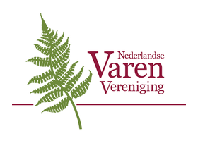 荷兰蕨类植物协会 Nederlandse Varenvereniging logo