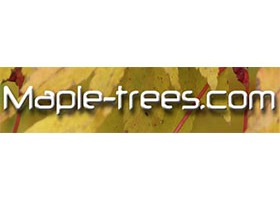 枫树网 Maple-Trees.com 品牌标志