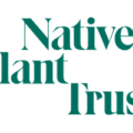 Native Plant Trust logo — Conserving New England's native plants