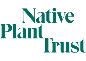 Native Plant Trust logo — Conserving New England's native plants