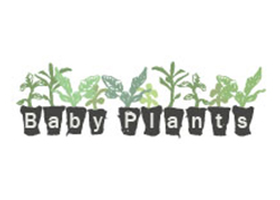 Sapcote Garden Centre Babyplants UK family-owned plug plant nursery official wordmark