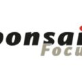 Bonsai Focus 杂志 logo