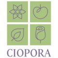 CIOPORA国际无性繁殖园艺植物育种者协会 logo
