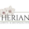 德国 赫里安铁线莲苗圃 Clematis Herian logo