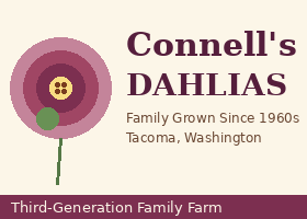 美国 Connell 大丽花 Connell's Dahlias 标识