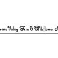 美国 特拉华河谷蕨类植物与野花协会 Delaware Valley Fern Wildflower Society 官方徽标