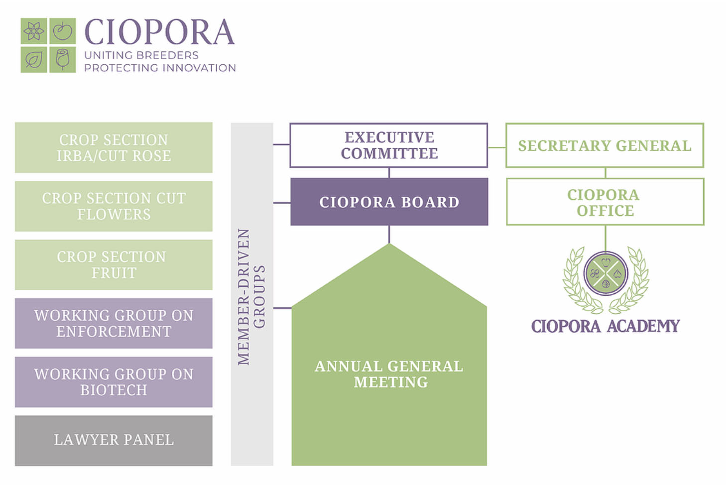 CIOPORA 组织结构图 — 包含理事会、作物分会和工作组的关系示意