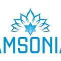 AMSONIA 标志，青蓝色花形图案，下方是青色高窄字体 AMSONIA 字样