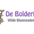 荷兰 Bolderik 野花种子苗圃 logo，白底配黑色野花插画与紫色 De Bolderik 字样