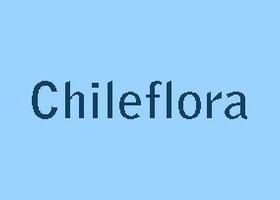 Chileflora 标志，浅蓝底上的深蓝 Chileflora 字样