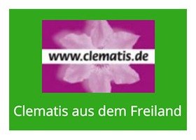 德国户外耐寒铁线莲苗圃 logo，绿色底配粉色铁线莲花与 www.clematis.de 与 Clematis aus dem Freiland 字样
