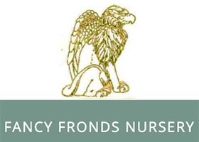 Fancy Fronds Nursery 苗圃标志 — 金线狮子与苗圃名称字样