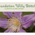 比利时 Willy Böttcher 铁线莲基金会 logo,绿底白字 Foundation Willy Böttcher 与 CLEMATIS KLIMPLANTEN 字样