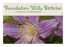 比利时 Willy Böttcher 铁线莲基金会 logo，绿底白字 Foundation Willy Böttcher 与 CLEMATIS KLIMPLANTEN 字样