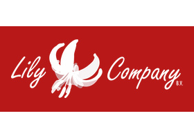 Lily Company B.V. 标志：深红色横条上白色的 Lily Company 手写体字标，中间嵌一朵白色百合花图案，右下角带小字 B.V.
