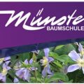 德国明斯特苗圃 Münster Baumschulen 官方 logo