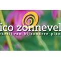 荷兰 Nico Zonneveld 苗圃 logo,粉紫花朵配螺旋图标与 nico zonneveld 字样