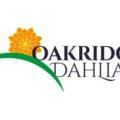 加拿大橡树岭大丽花 Oakridge Dahlias