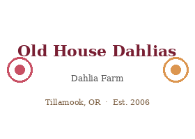美国 老屋大丽花 Old House Dahlias