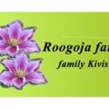 爱沙尼亚 Roogoja 农场 logo，浅绿底配粉色铁线莲花朵与 family Kivistik 字样