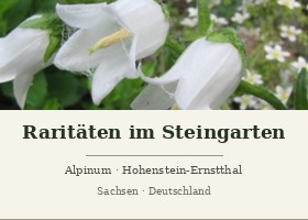 德国 岩石花园中的珍品 Raritäten im Steingarten 网站标识