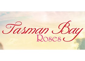 新西兰 塔斯曼湾玫瑰苗圃 Tasman Bay Roses
