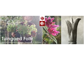 Tuingoed Foltz 苗圃 logo
