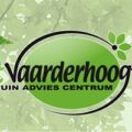 荷兰 Vaarderhoogt 花园中心 logo，绿色椭圆配 Vaarderhoogt 字样与叶子装饰